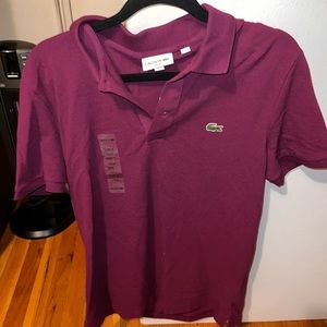 Lacoste polo. Purple. Size Large. New with tags